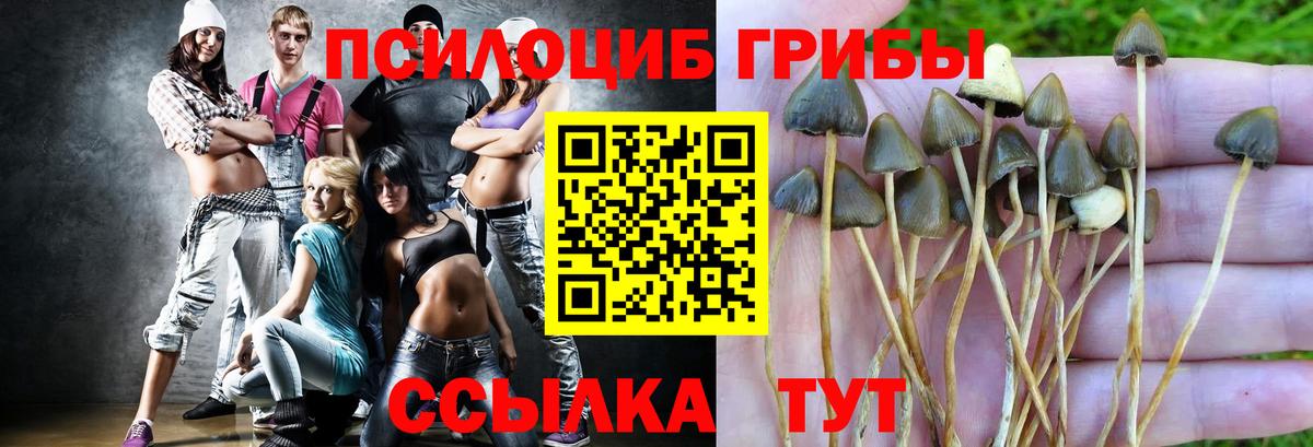Галлюциногенные грибы Cubensis  Вход с VPN  Псков 